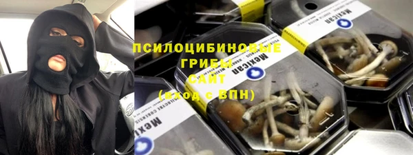 прущий лед Алзамай