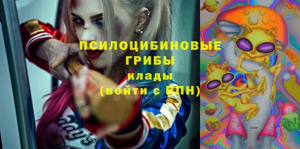 твердый Алексеевка