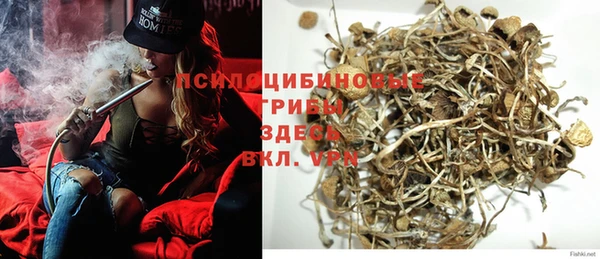 прущий лед Алзамай