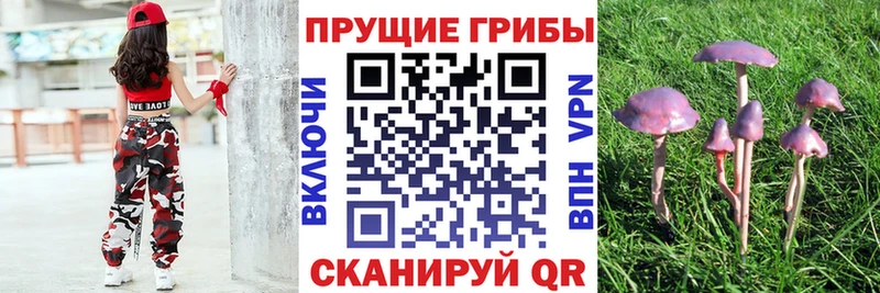 Галлюциногенные грибы Magic Shrooms  hydra вход  Кимры 